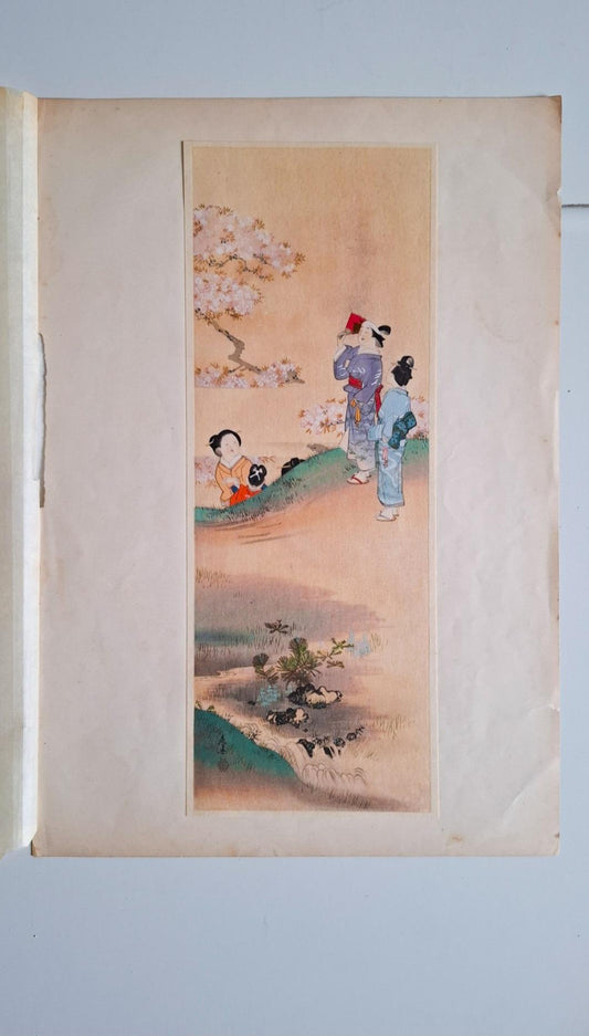 Xilografia "Vista sui fiori di Ciliegio" | Shibata Zeshin